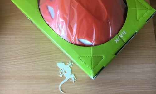 isikukaitsevahendite koolitus