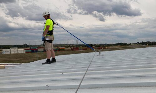 115770046_310630783417067_7145441778298314912_n kõrgtööd