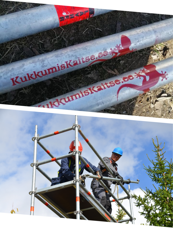 tellingukoolitus tellingukoolitus